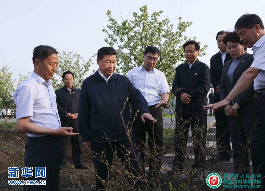 　　5月23日至25日，中共中央總書記、國家主席、中央軍委主席習近平在黑龍江考察調研。這是5月23日下午，習近平在伊春友好林業局萬畝藍莓產業園察看藍莓種植情況。 新華社記者 蘭紅光 攝